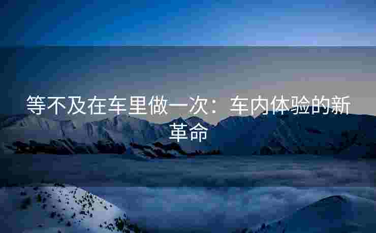 等不及在车里做一次：车内体验的新革命