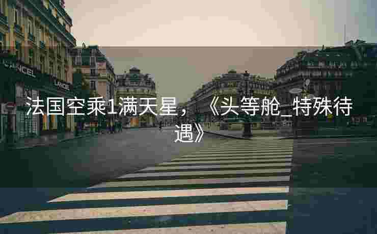 法国空乘1满天星，《头等舱_特殊待遇》