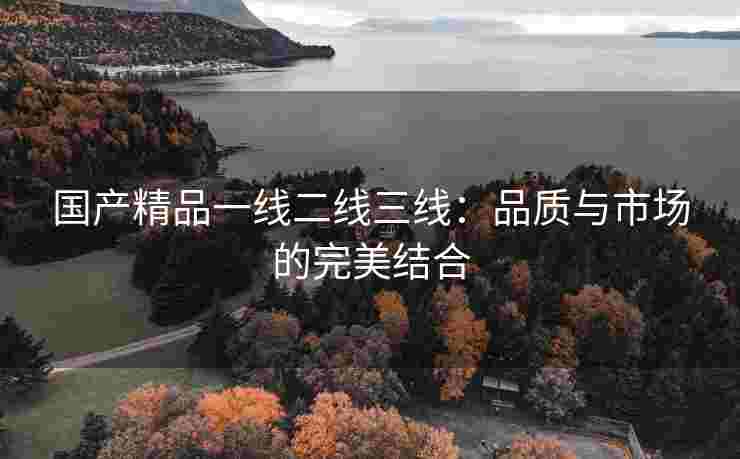 国产精品一线二线三线：品质与市场的完美结合