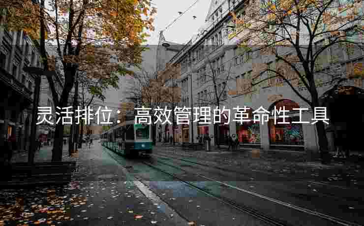 灵活排位：高效管理的革命性工具