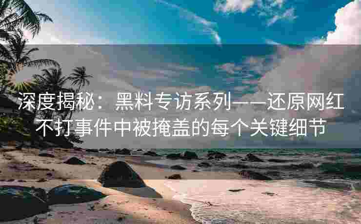 深度揭秘：黑料专访系列——还原网红不打事件中被掩盖的每个关键细节