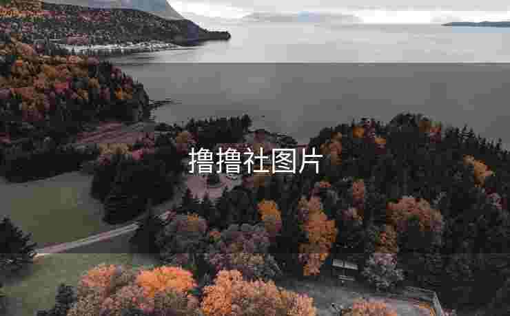撸撸社图片