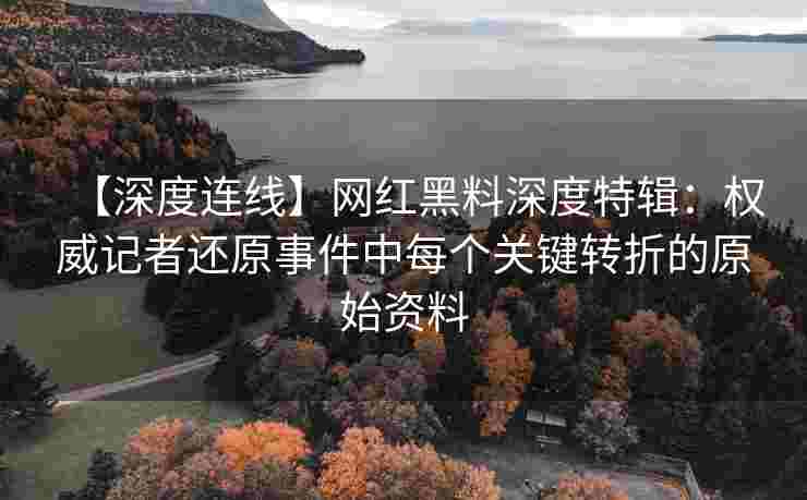 【深度连线】网红黑料深度特辑：权威记者还原事件中每个关键转折的原始资料