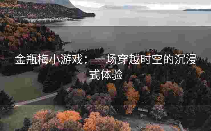 金瓶梅小游戏：一场穿越时空的沉浸式体验
